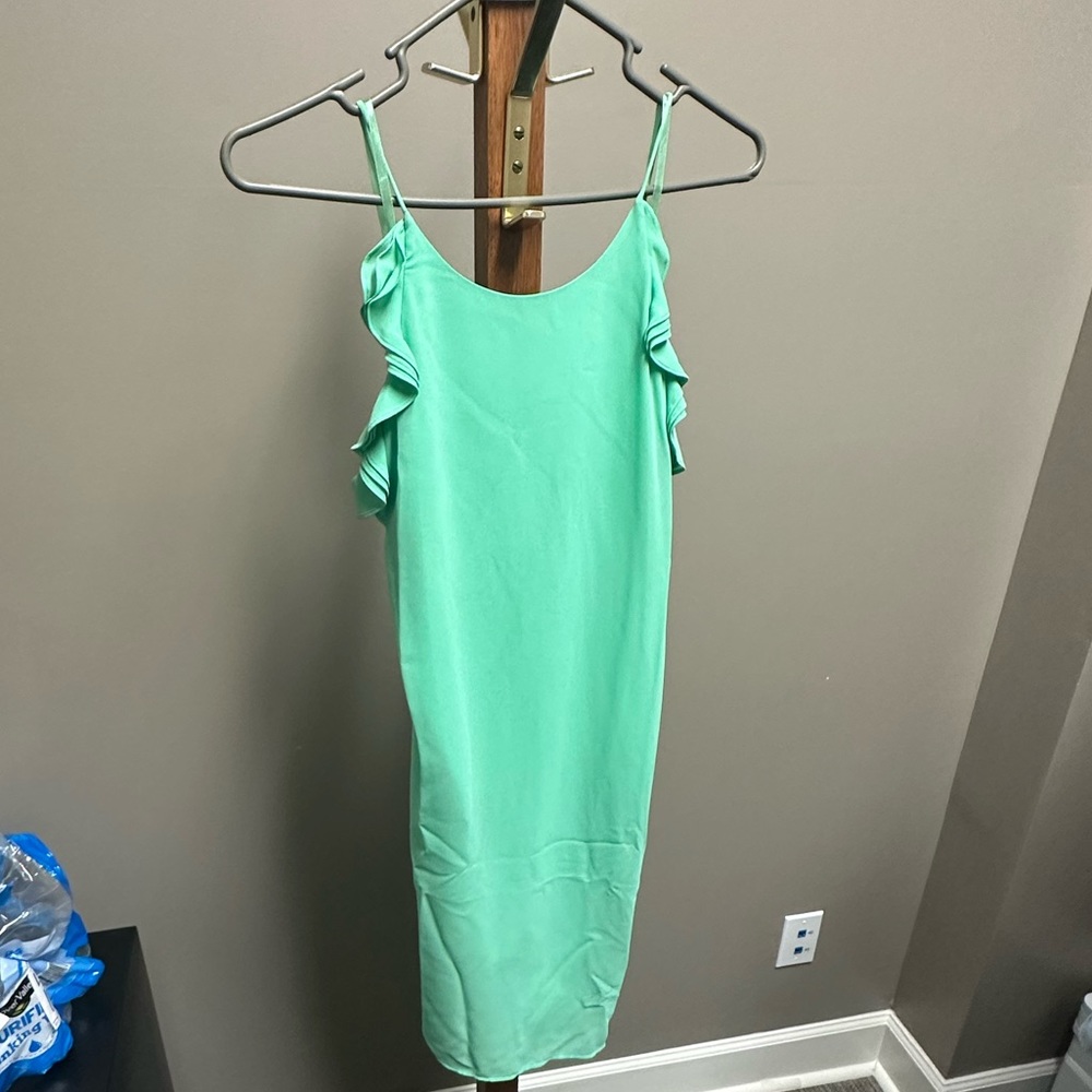 Naked zebra green dress